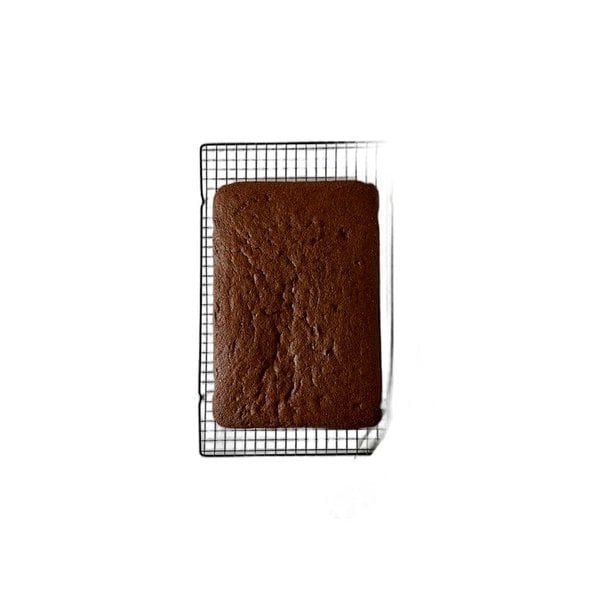 Cake Spong Chocolate